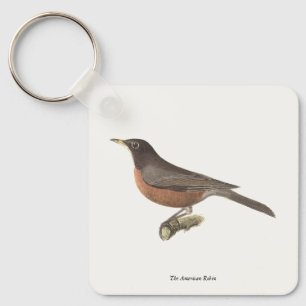 Chaveiro O Robin Americano (Turdus migratorius) NY Birds
