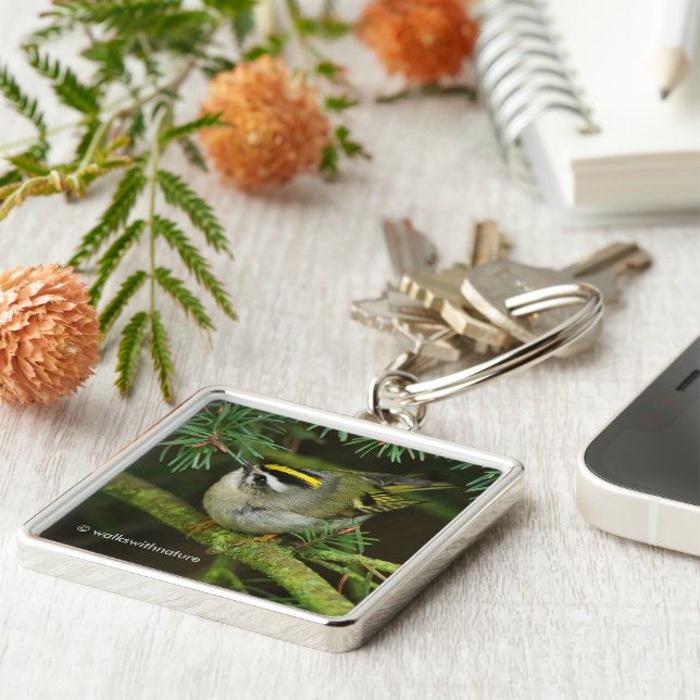 Chaveiro O sabiá-lo causa agitação no fogo (Lateral)