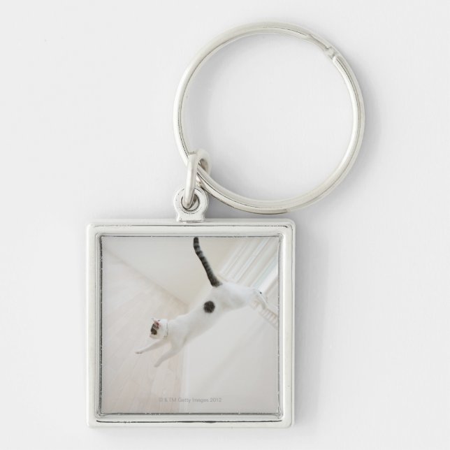 Chaveiro O salto do gato (Frente)