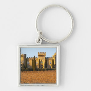 Chaveiro O vinhedo com videiras do syrah e o castelo