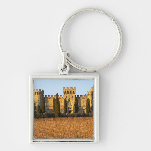 Chaveiro O vinhedo com videiras do syrah e o castelo (Frente)