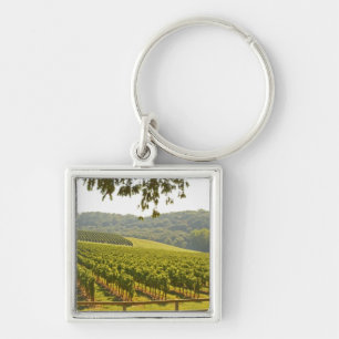 Chaveiro O vinhedo e um vale com uma floresta -