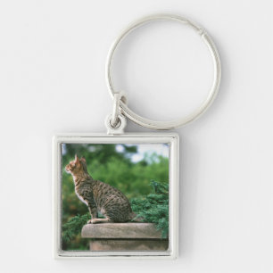 Chaveiro Ocicat 2