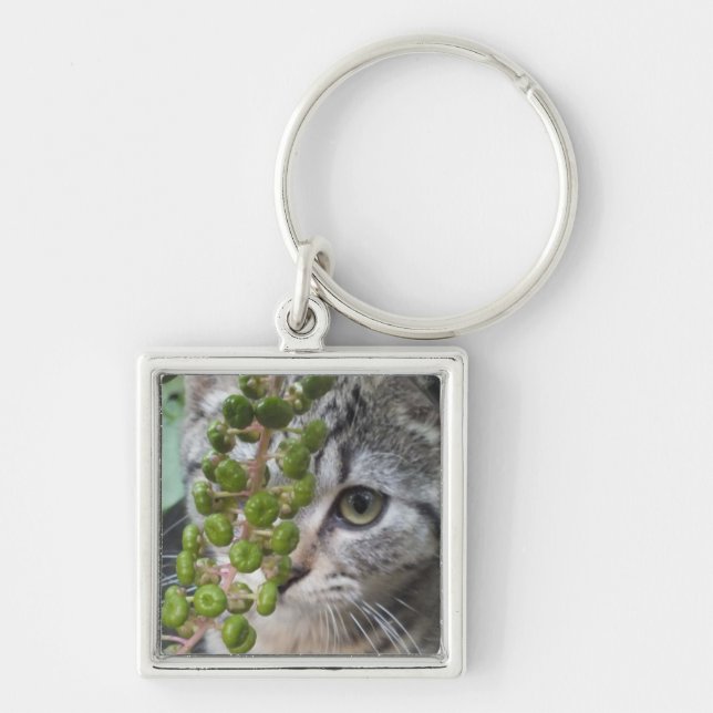 Chaveiro Ocultar Kitten (Frente)