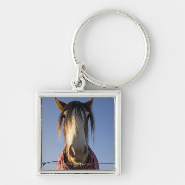 Chaveiro Olhando a câmera (Frente)