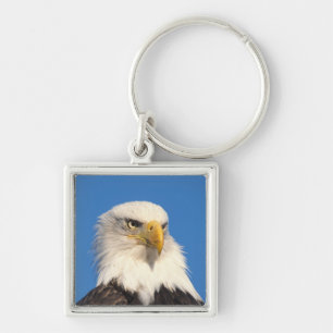 Chaveiro Olhar de Águia Americana