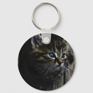 Chaveiro Olhos azuis de gato