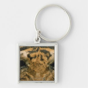 Chaveiro Olhos do tigre
