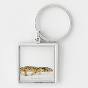 Chaveiro Opinião lateral o lagarto do geco do leopardo