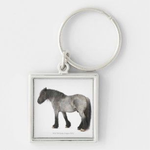 Chaveiro Opinião lateral um cavalo belga, belga pesado
