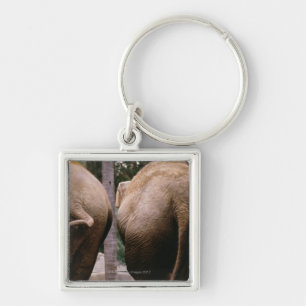 Chaveiro Opinião traseira elefantes asiáticos