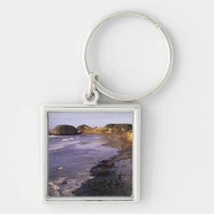 Chaveiro OR, Costa do Oregon, Newport, litoral em Seal