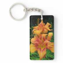 Orange Daylily Blooms