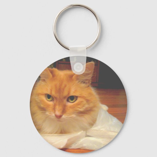 Chaveiro Orange Tabby (Frente)