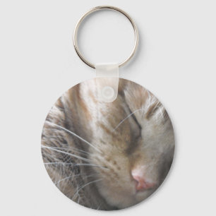 Chaveiro Orange Tabby Cat