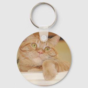 Chaveiro Orange Tabby Cat