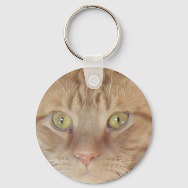 Chaveiro Orange Tabby Cat (Frente)
