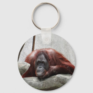 Chaveiro Orangutan