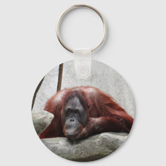 Chaveiro Orangutan