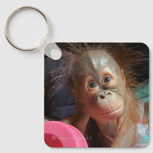 Chaveiro Orangutan Baby