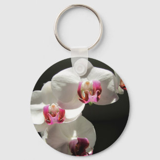 Chaveiro Orchids
