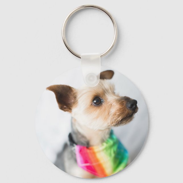 Chaveiro Orgulho gay Rainbow Dog | Yorkshire Terrier (Frente)