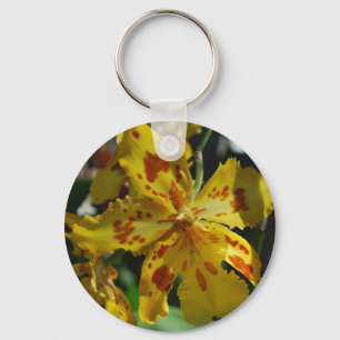 Chaveiro Orquídea amarela de Vero Beach