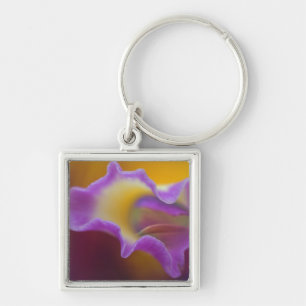 Chaveiro Orquídea híbrida, Flórida