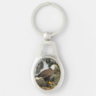 Chaveiro Ortod Bald Eagle