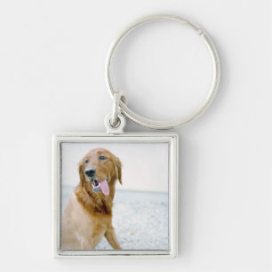 Chaveiro Os EUA, Utá, Salt Lake City, metade barbearam o