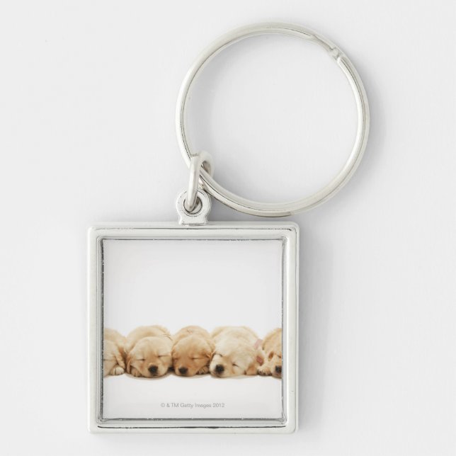 Chaveiro Os filhotes de cachorro do golden retriever (Frente)