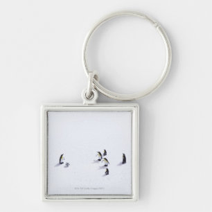 Chaveiro Os pinguins que jogam o futebol