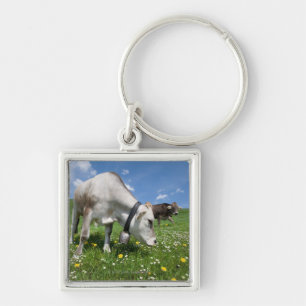 Chaveiro Os tiros foram feitos usando uma grande ângulo