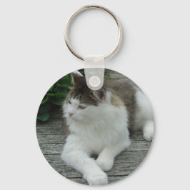 Chaveiro ou Keyring - Maine Coon Cat Image 1