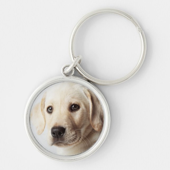 Chaveiro Ouro Labrador Puppy Closeup (Frente)