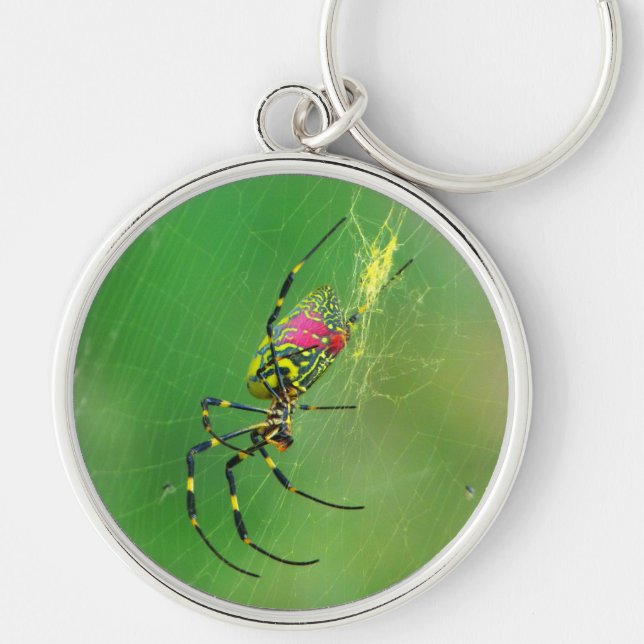 Chaveiro Ouro Orb Weaver Spider (Frente)