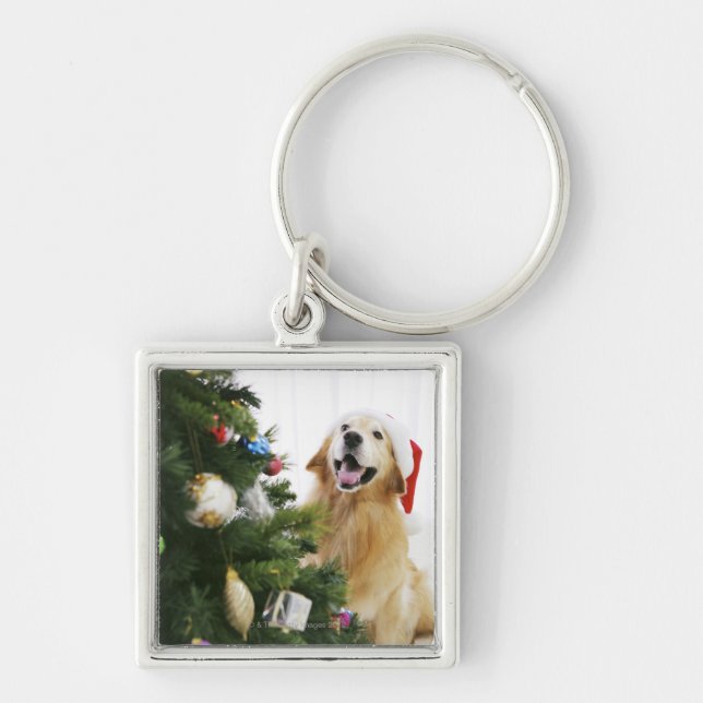 Chaveiro Ouro recuperador que assiste árvore de Natal (Frente)