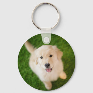 Chaveiro Ouro - Retirador de Puppy com Grass