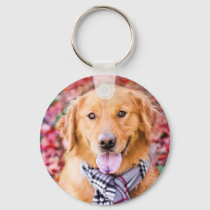 Chaveiro Ouro Retriever Em Scarf