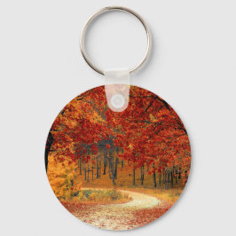 Chaveiro outono na floresta
