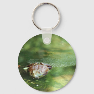 Chaveiro Ovos Para Colagem De Rãs De Bolso