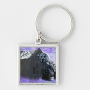 Chaveiro Owl Barn Shed