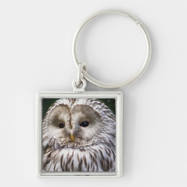 CHAVEIRO OWLS (Frente)