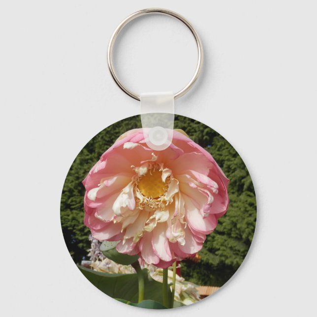 CHAVEIRO P7220107.JPG (Frente)