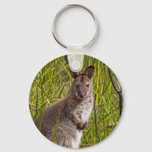 Chaveiro Pademelon Tasmaniano
