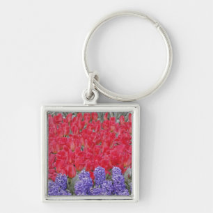 Chaveiro Padrão de jacinto, tulipas e narcisos,