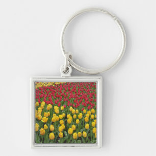 Chaveiro Padrão de jardim de tulipas, Jardins Keukenhof, 2