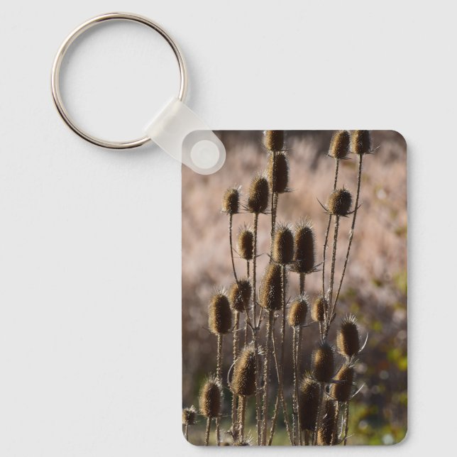 Chaveiro Padrão de Planta Seca de Cardo de Teasel Rústico (Frente)