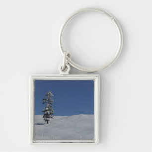 Chaveiro Paisagem fria nevado 4 do inverno