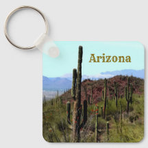 Paisagem montanhosa do saguaro do Arizona